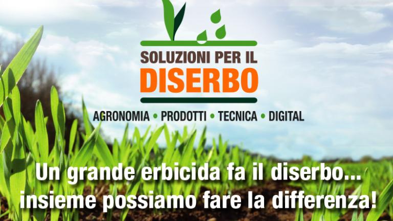 Diserbo cereali Syngenta 