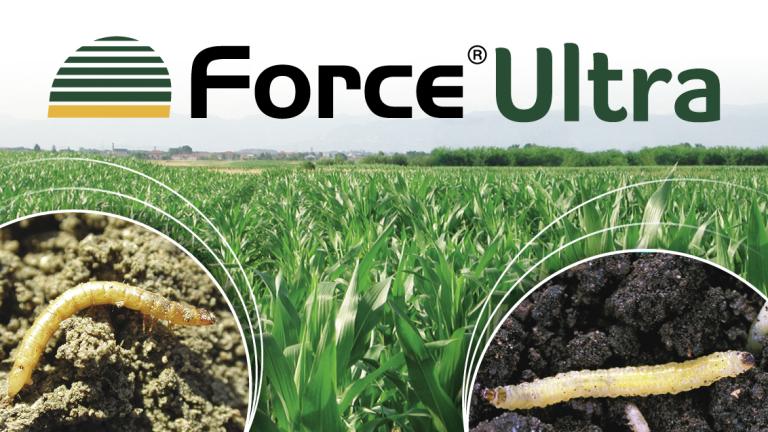 articolo force ultra 