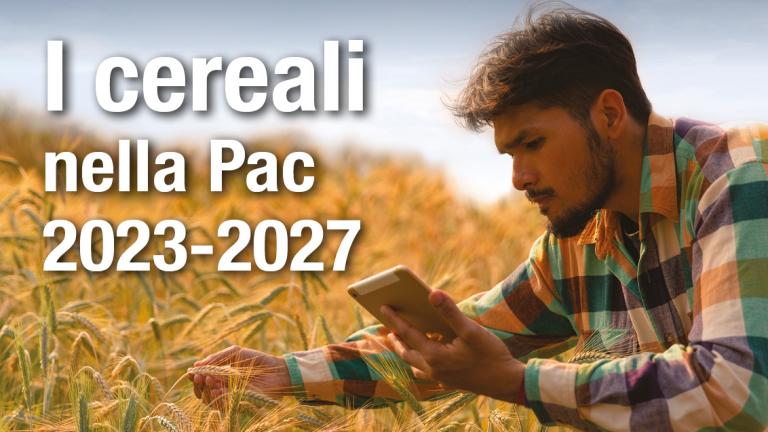 cereali pac approfondimento syngenta 