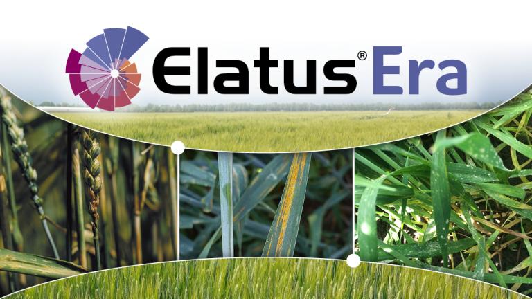 elatus era protezione syngenta