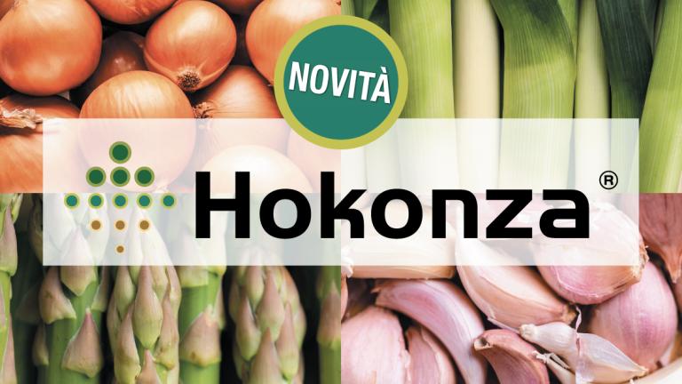 hokonza syngenta liliacee