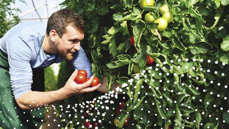 soluzioni biocontrollo orticole 