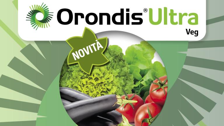 orondis ultra veg novità syngenta