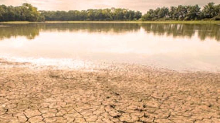 scarsita idrica soluzioni syngenta 