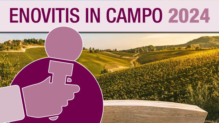 enovitis syngenta 2024