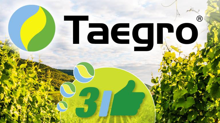 taegro per la difesa della vite 