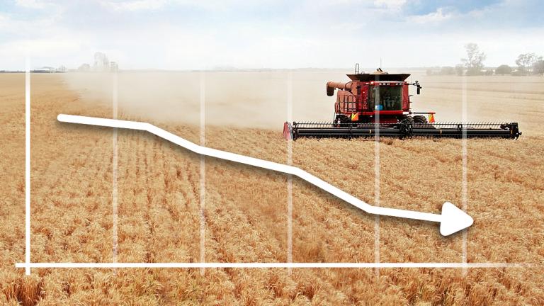 cereali prezzi mercato 2024