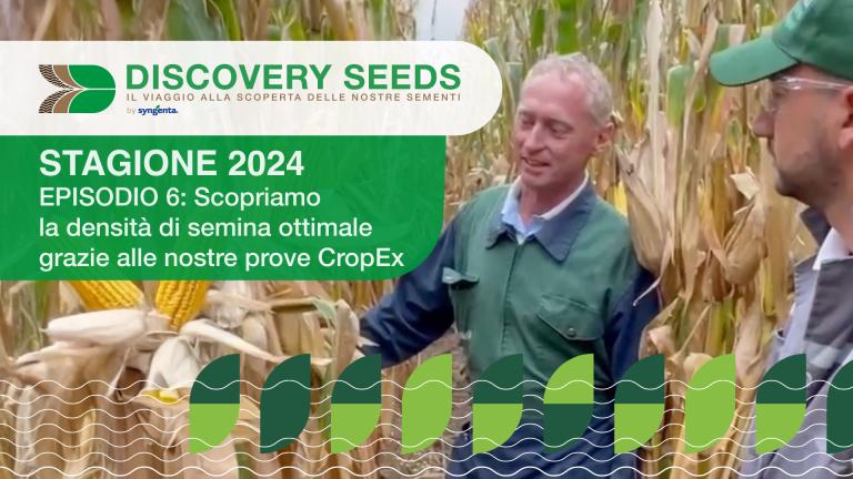SY ULTIMATE: scopriamo la densità di semina ottimale grazie alle nostre prove CropEx