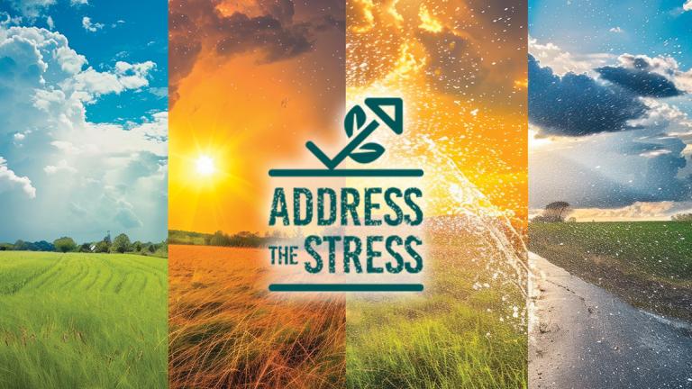 Logo Grande Address The Stress 