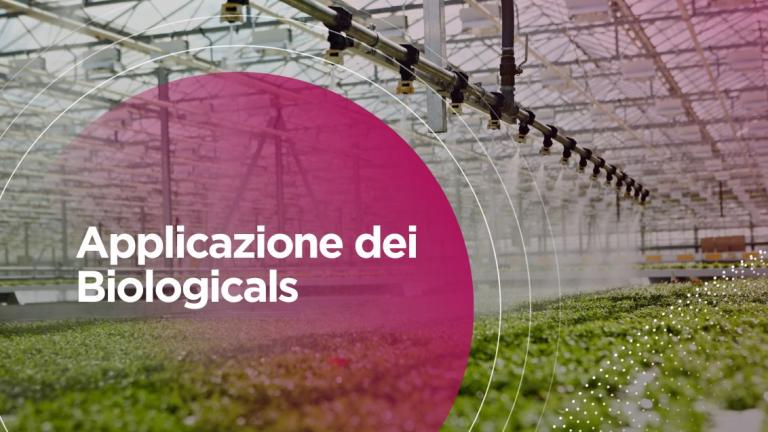 Biologicals