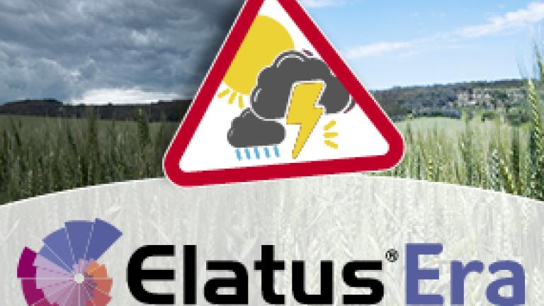 Elatus Era Immagine