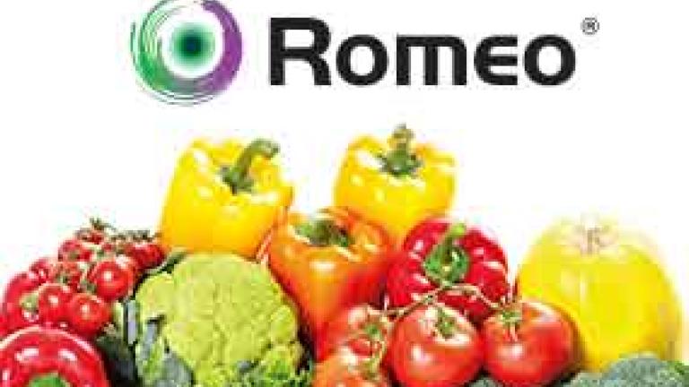 Romeo_thumbnail