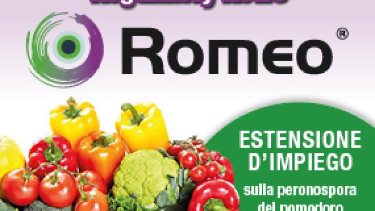 Romeo_regulatorynews_miniatura
