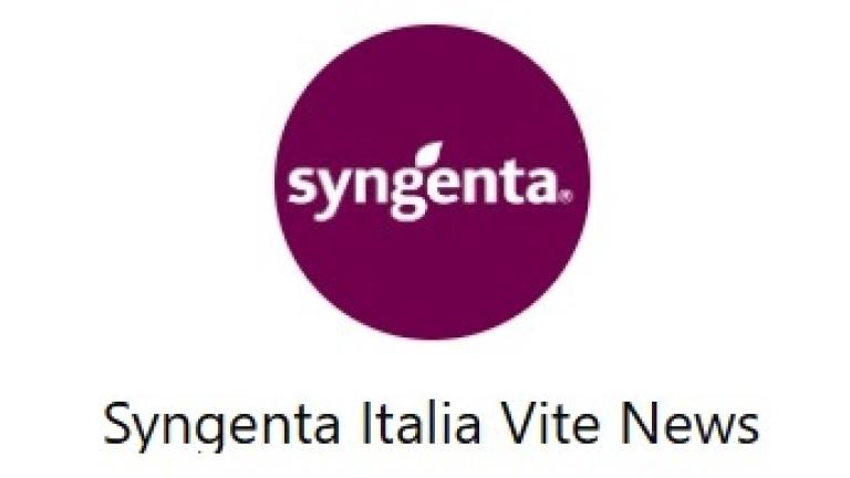 wa_vite.jpg