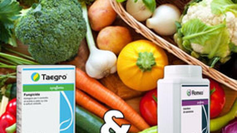 Romeo_Taegro_Syngenta