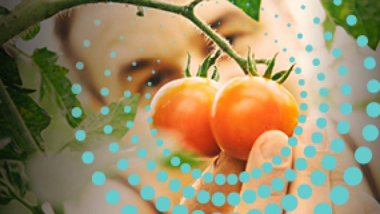 Biocontrollo_Syngenta