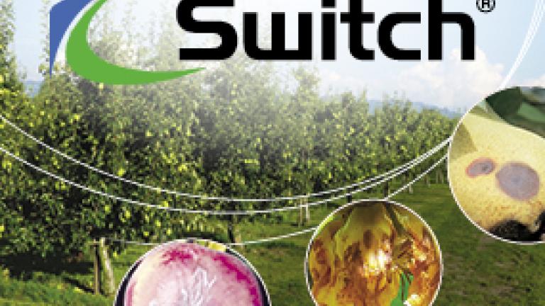 Switch_Syngenta