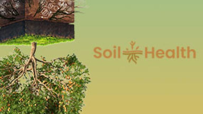 Soil Health 