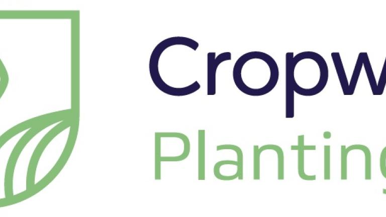 Cropwise planting