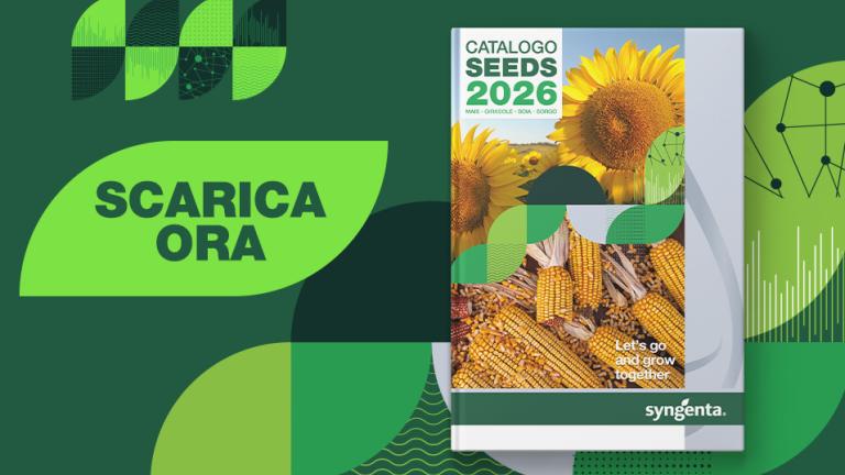 Catalogo Syngenta Seeds 2026