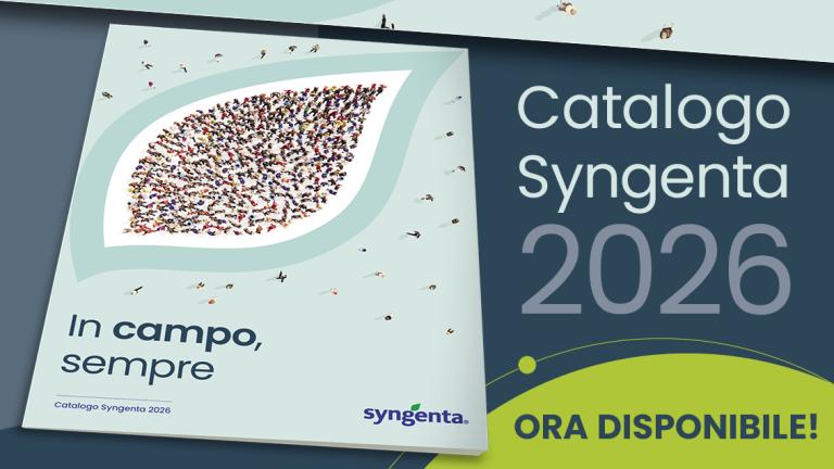 catalogo_2026_