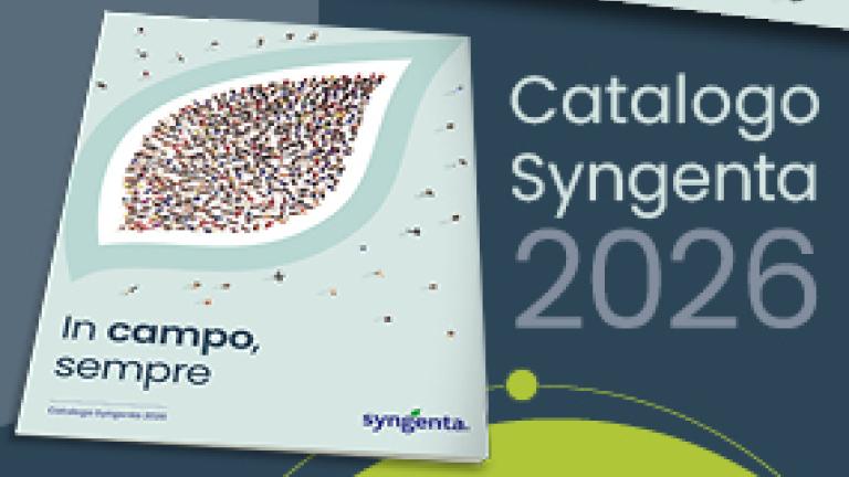 catalogo_2026_
