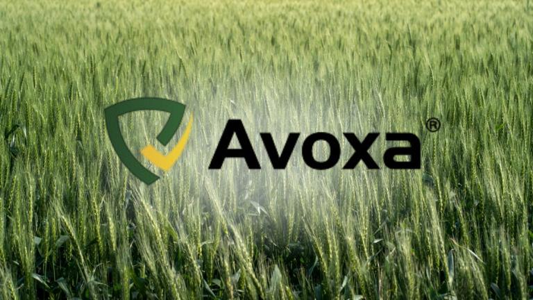 Avoxa