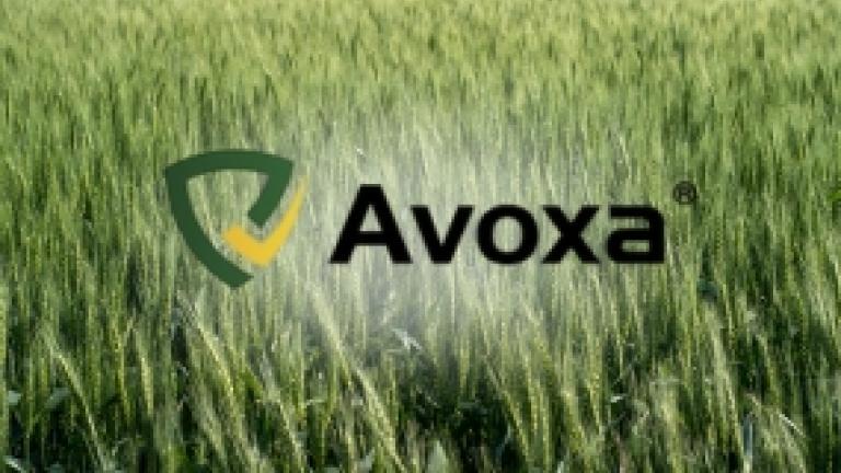 Avoxa
