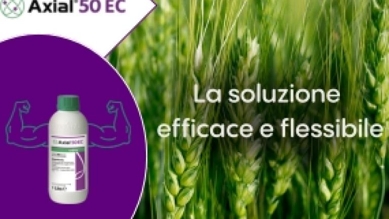 Axial_50_EC