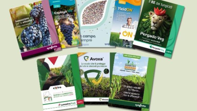 new brochure