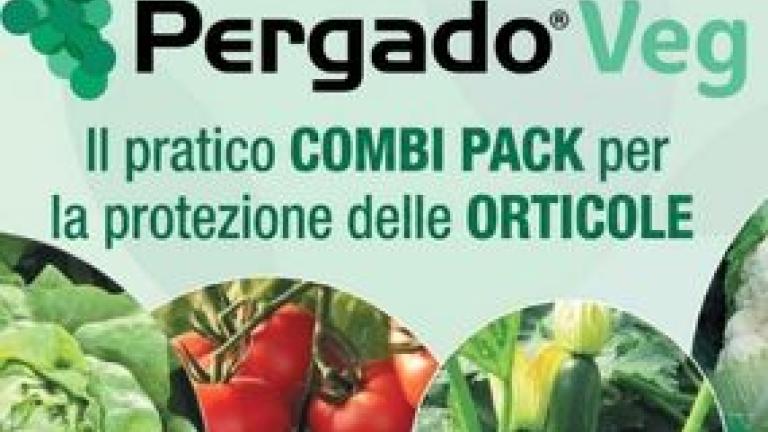 pergado_veg_2026_285x214