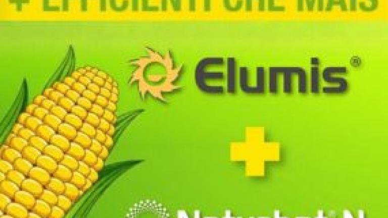 Elumis_Azotobacter thumbnails Article