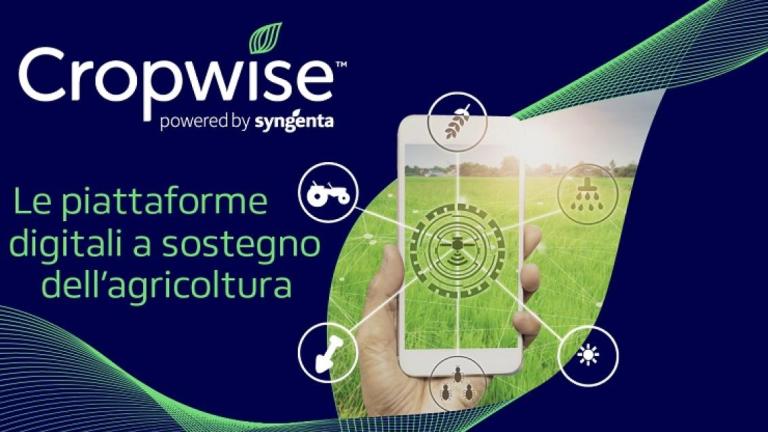 cropwise_740x470.jpg
