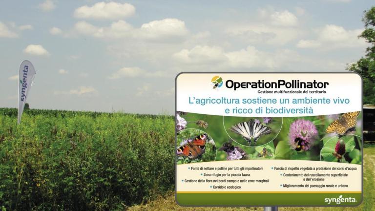 Cartello Operation Pollinator in un campo verde sotto cielo azzurro, con farfalla e ape
