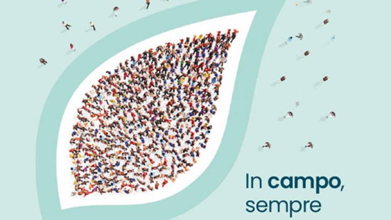 Catalogo 2026