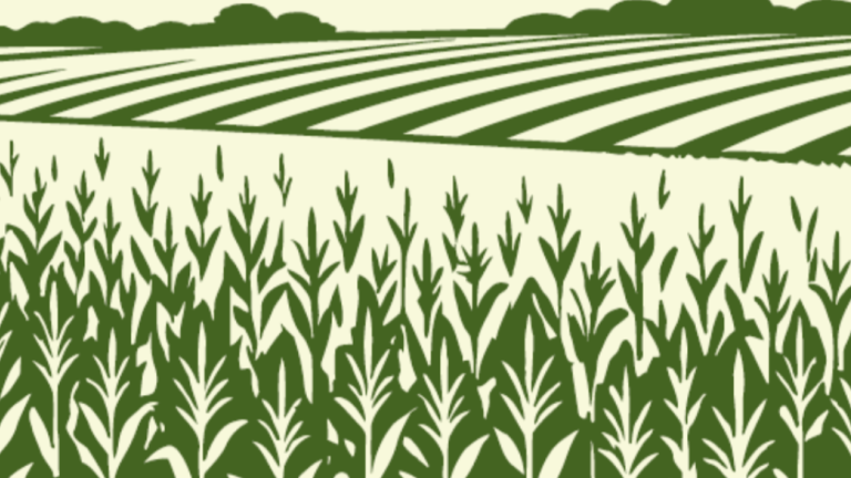Illustrazione verde di campo coltivato con file di piante e colline sullo sfondo
