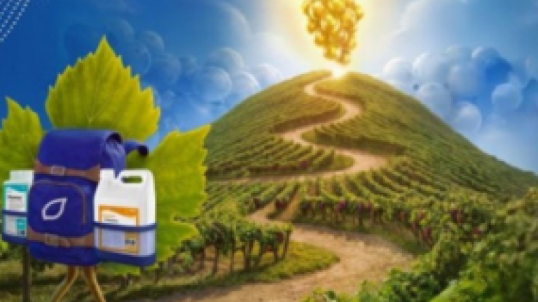 Illustrazione: sentiero verso collina di mais, sole e zaino con icona IA in primo piano