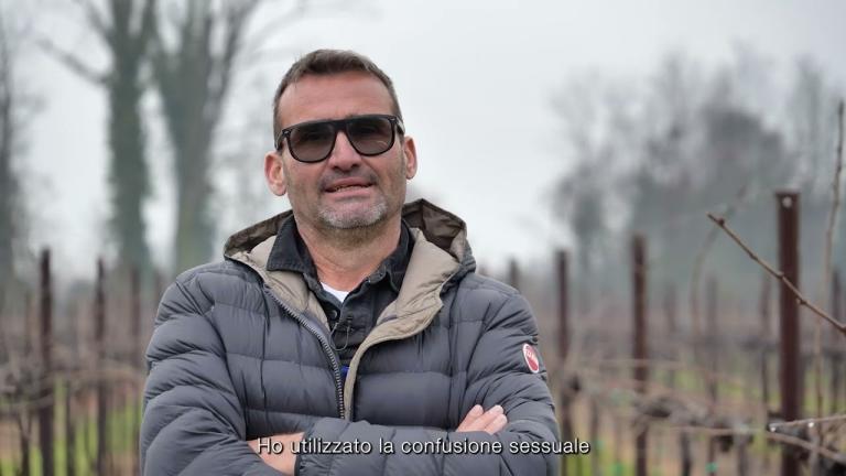 EXPLOYO VIT: una storia di successo dal vigneto