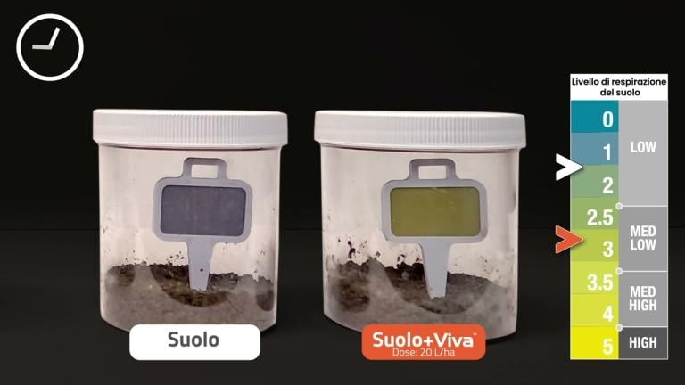 VIVA – Misurazione del livello di respirazione del suolo