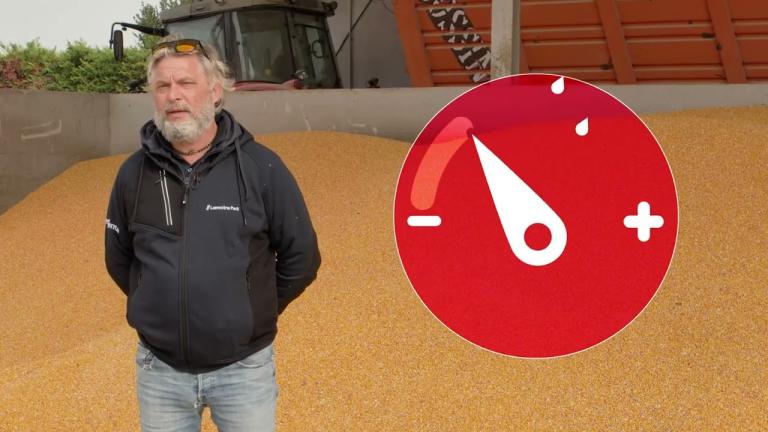 Syngenta Lumestra Pack Testimonial Az. Agricola Della Rocca