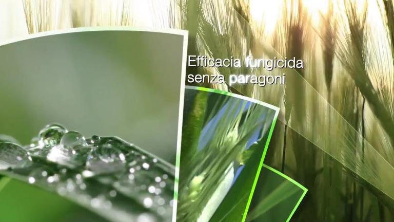 ELATUS® PLUS e ELATUS® ERA – L’innovazione che si vede