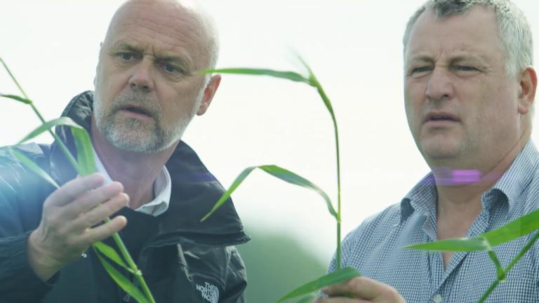 Syngenta Brand Video
