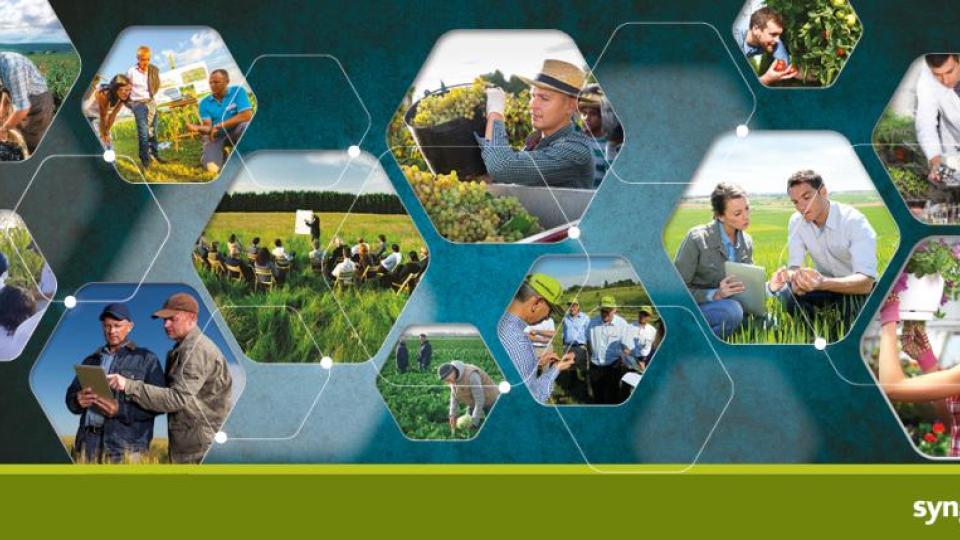 Collage di foto in esagoni: agricoltura, animali e persone in campagna su sfondo verde