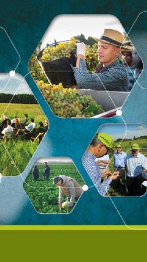 Collage di foto in esagoni: agricoltura, animali e persone in campagna su sfondo verde