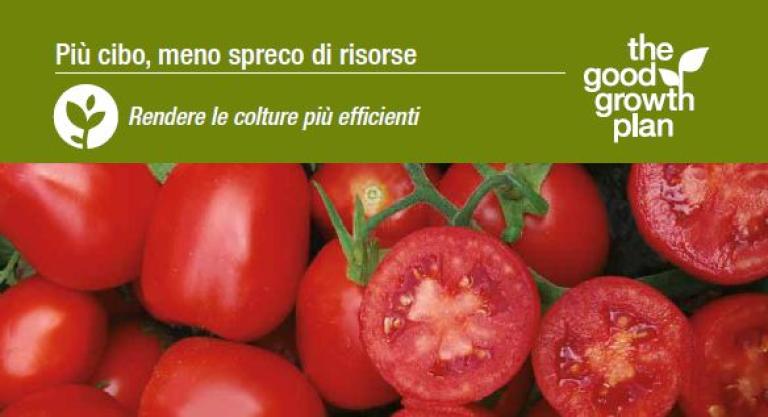 barra pomodoro v1