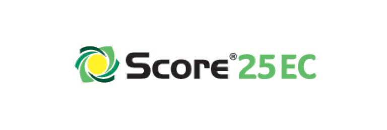 400x135 score 25ec logo