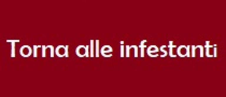 torna alla lista