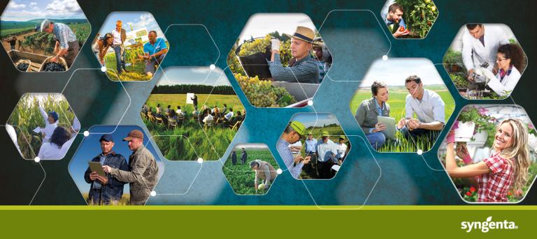imm sito syngenta 1120x500 v02