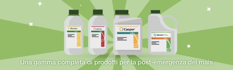 Gamma prodotti post emergenza mais Syngenta