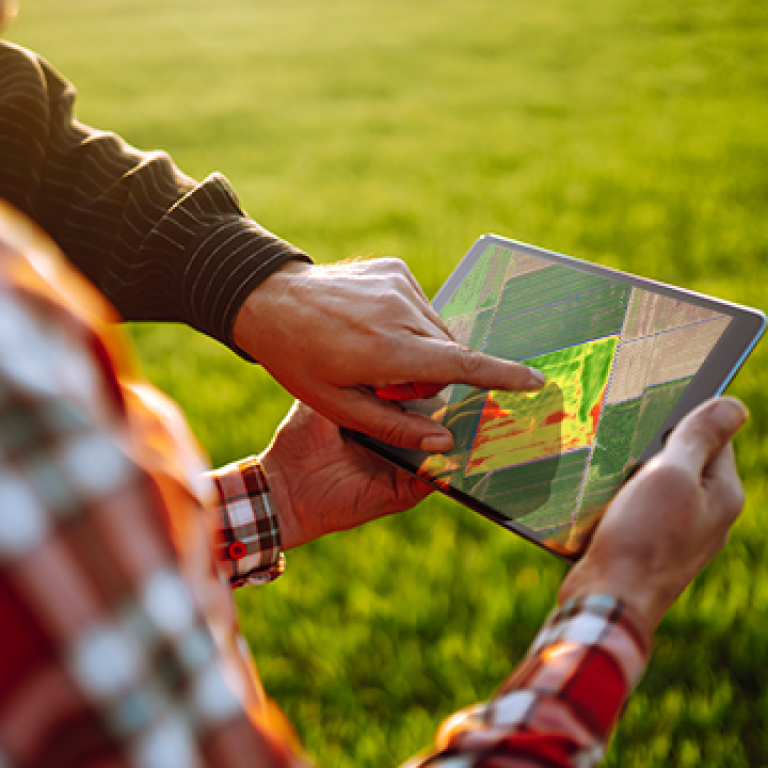 cropwise imagery app image 2021